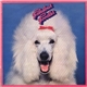 Fabulous Poodles - Fabulous Poodles